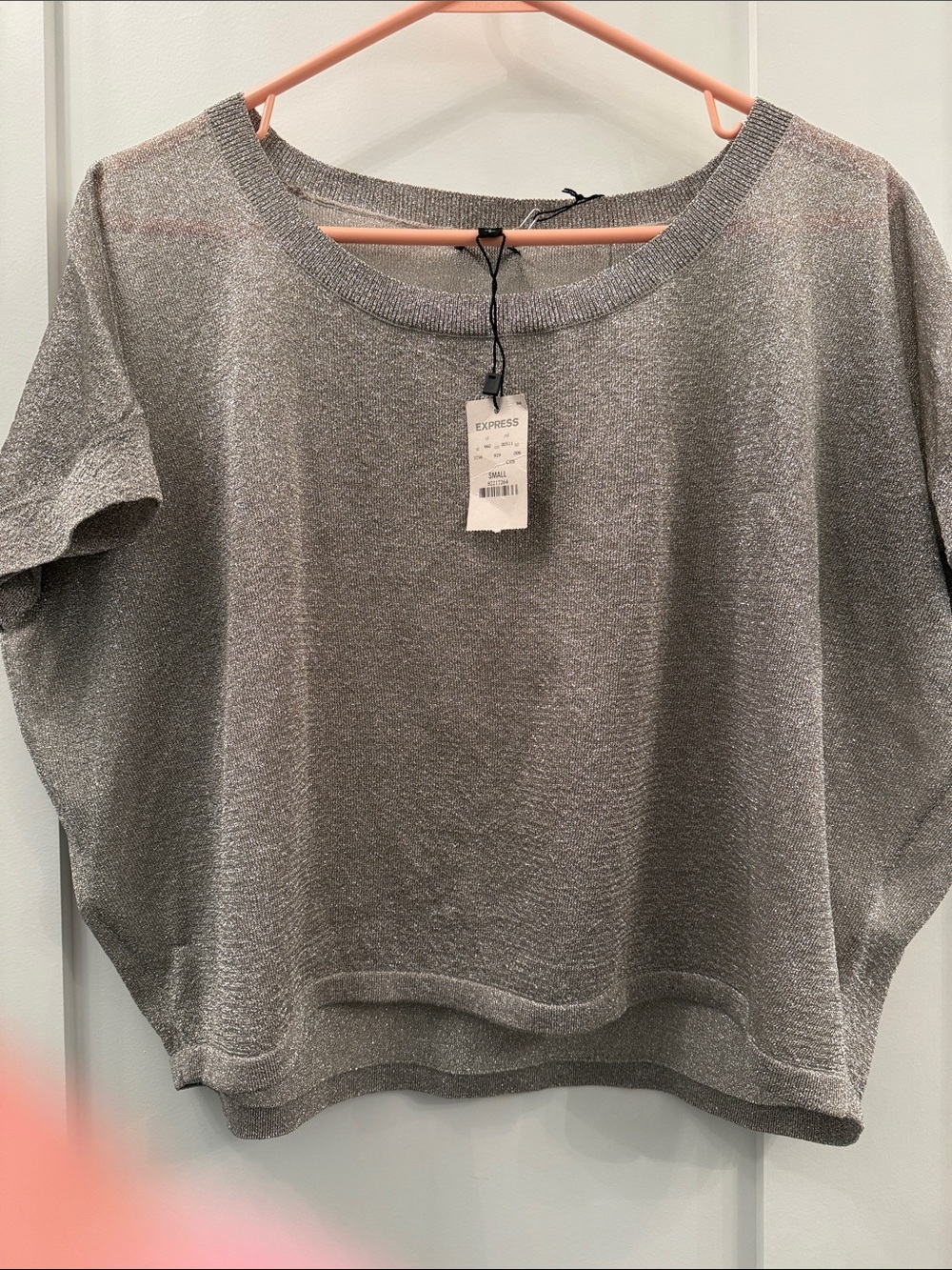 Express Metallic Silver Short Sleeve Crop Top